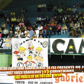 LIGA PAULISTA DE FUTSAL 2014 - GUARULHOS/MULT FORÇA  -