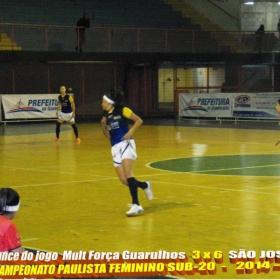 LIGA PAULISTA DE FUTSAL 2014 - GUARULHOS/MULT FORÇA  -