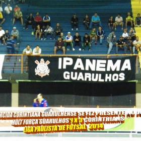 LIGA PAULISTA DE FUTSAL 2014 - GUARULHOS/MULT FORÇA  -