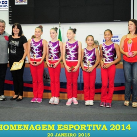 VEM AÍ!!! HOMENAGEM ESPORTIVA 2015 - VEJAM AS FOTOS DA HOMENAGEM 2014