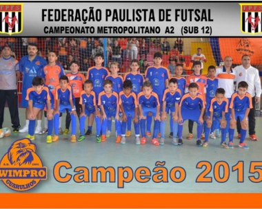 Campeonatos Atuais