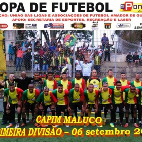 CAMPEONATO DA PRIMEIRA DIVISÃO-2015 - ULAFA - 