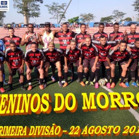 CAMPEONATO DA PRIMEIRA DIVISÃO-2015 - ULAFA - 