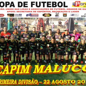 CAMPEONATO DA PRIMEIRA DIVISÃO-2015 - ULAFA - 