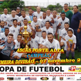 CAMPEONATO DA PRIMEIRA DIVISÃO-2015 - ULAFA - 