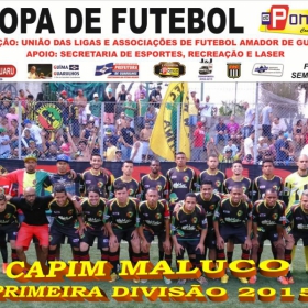 CAMPEONATO DA PRIMEIRA DIVISÃO-2015 - ULAFA - 