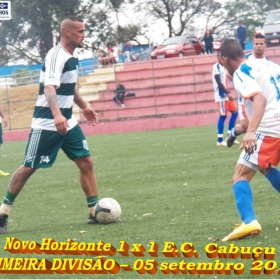 CAMPEONATO DA PRIMEIRA DIVISÃO-2015 - ULAFA - 