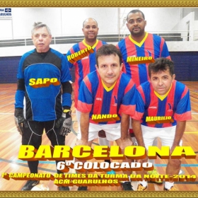 CAMPEONATO DE FUTSAL 2015 - ACM GUARULHOS