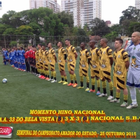 CAMPEONATO AMADOR DO ESTADO 2015-  