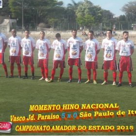 CAMPEONATO AMADOR DO ESTADO 2015-  