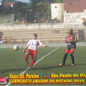 CAMPEONATO AMADOR DO ESTADO 2015-  