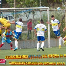 CAMPEONATO AMADOR DO ESTADO 2015-  