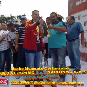 CAMPEONATO AMADOR DO ESTADO 2015-  