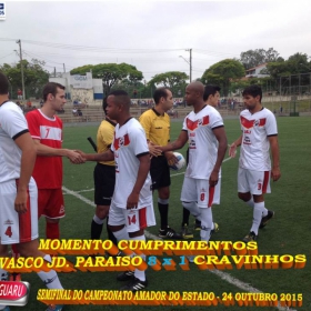 CAMPEONATO AMADOR DO ESTADO 2015-  