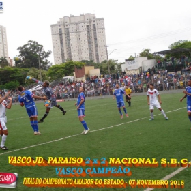 CAMPEONATO AMADOR DO ESTADO 2015-  