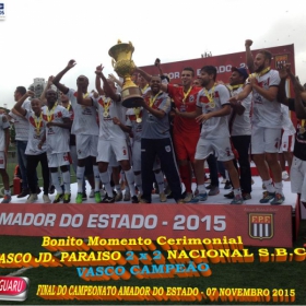 CAMPEONATO AMADOR DO ESTADO 2015-  