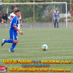 CAMPEONATO AMADOR DO ESTADO 2015-  