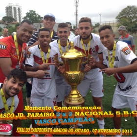 CAMPEONATO AMADOR DO ESTADO 2015-  