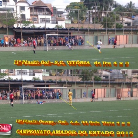 CAMPEONATO AMADOR DO ESTADO 2015-  