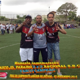 CAMPEONATO AMADOR DO ESTADO 2015-  