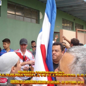 CAMPEONATO AMADOR DO ESTADO 2015-  