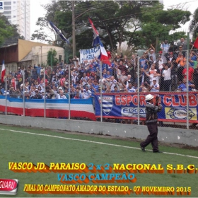 CAMPEONATO AMADOR DO ESTADO 2015-  