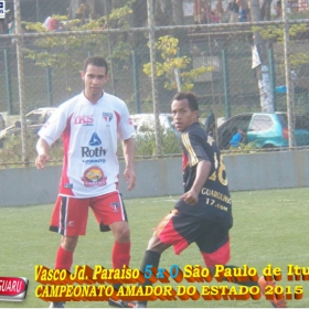 CAMPEONATO AMADOR DO ESTADO 2015-  