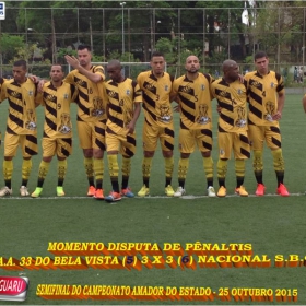 CAMPEONATO AMADOR DO ESTADO 2015-  