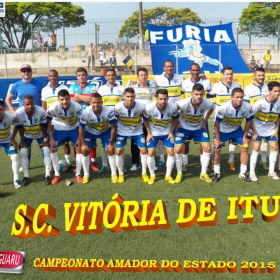 CAMPEONATO AMADOR DO ESTADO 2015-  