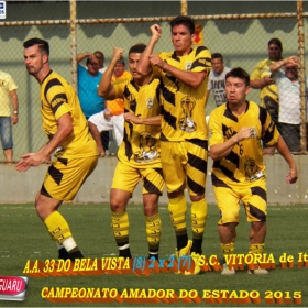 CAMPEONATO AMADOR DO ESTADO 2015-  