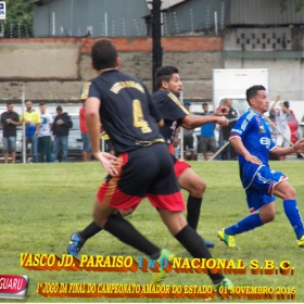 CAMPEONATO AMADOR DO ESTADO 2015-  