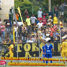 CAMPEONATO AMADOR DO ESTADO 2015-  