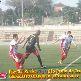 CAMPEONATO AMADOR DO ESTADO 2015-  