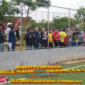 CAMPEONATO AMADOR DO ESTADO 2015-  