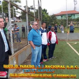 CAMPEONATO AMADOR DO ESTADO 2015-  