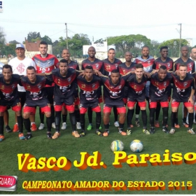 CAMPEONATO AMADOR DO ESTADO 2015-  