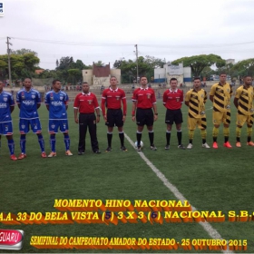 CAMPEONATO AMADOR DO ESTADO 2015-  