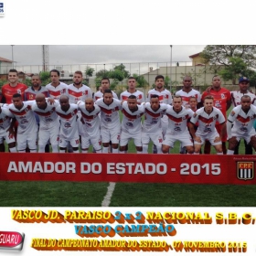 CAMPEONATO AMADOR DO ESTADO 2015-  