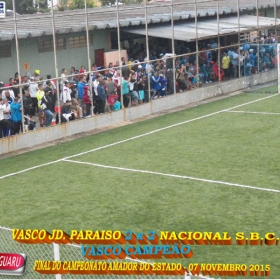 CAMPEONATO AMADOR DO ESTADO 2015-  