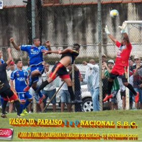 CAMPEONATO AMADOR DO ESTADO 2015-  