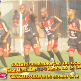 CAMPEONATO AMADOR DO ESTADO 2015-  