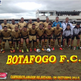 CAMPEONATO AMADOR DO ESTADO 2015-  