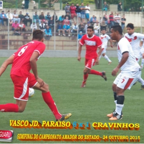 CAMPEONATO AMADOR DO ESTADO 2015-  