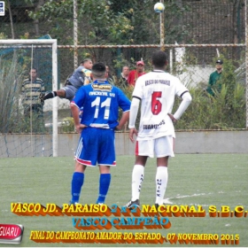 CAMPEONATO AMADOR DO ESTADO 2015-  