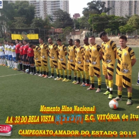 CAMPEONATO AMADOR DO ESTADO 2015-  