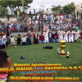 CAMPEONATO AMADOR DO ESTADO 2015-  