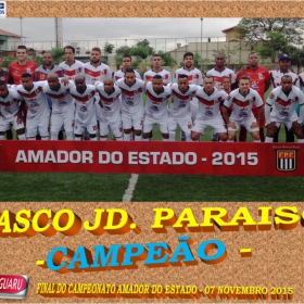 CAMPEONATO AMADOR DO ESTADO 2015-  