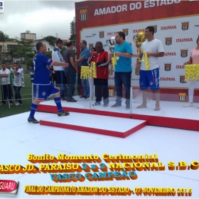 CAMPEONATO AMADOR DO ESTADO 2015-  