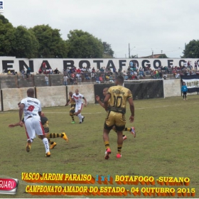 CAMPEONATO AMADOR DO ESTADO 2015-  