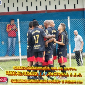 CAMPEONATO AMADOR DO ESTADO 2015-  